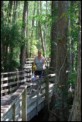 Corkscrew Swamp Sanctuary foto 2