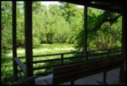 Corkscrew Swamp Sanctuary foto 6
