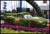 Flower festival, Cars